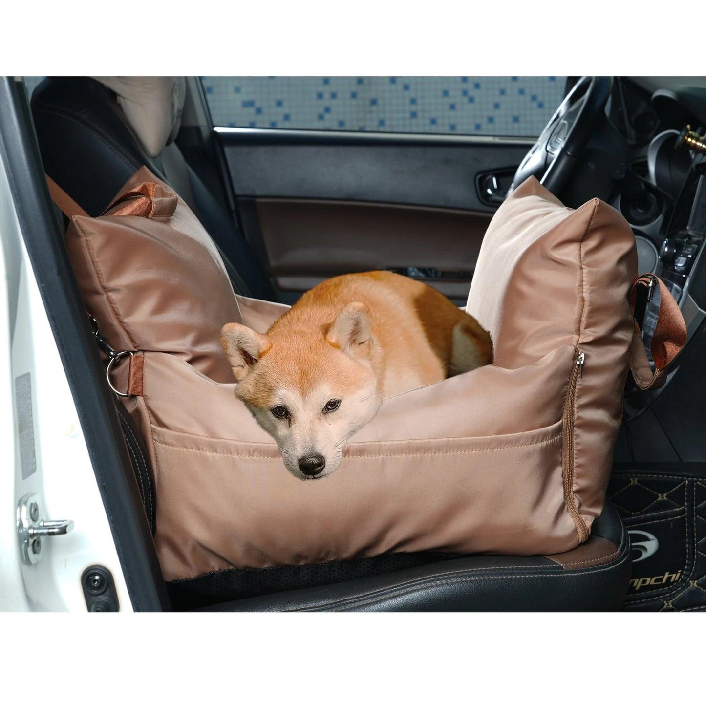 Siege Auto Chien - l'école du chien