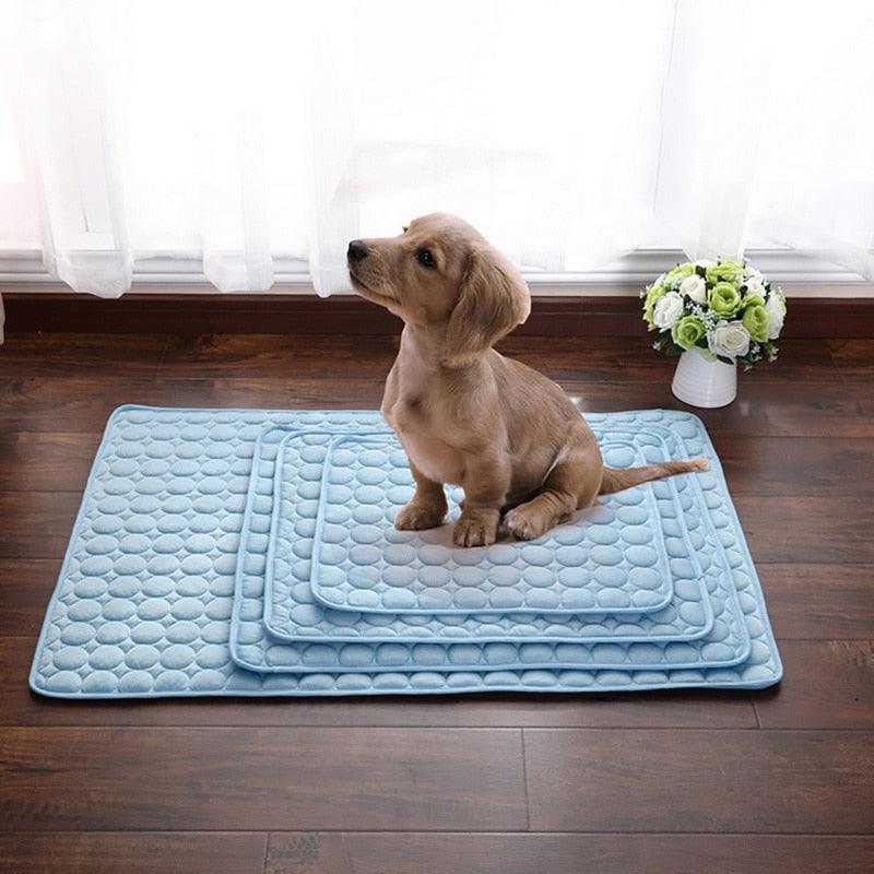 Tapis Rafraîchissant Chien | ChillPaws™ - l'école du chien