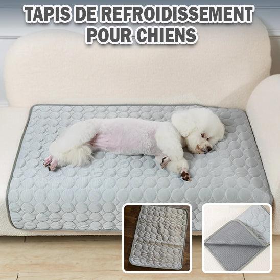 Tapis Rafraîchissant Chien | ChillPaws™ - l'école du chien
