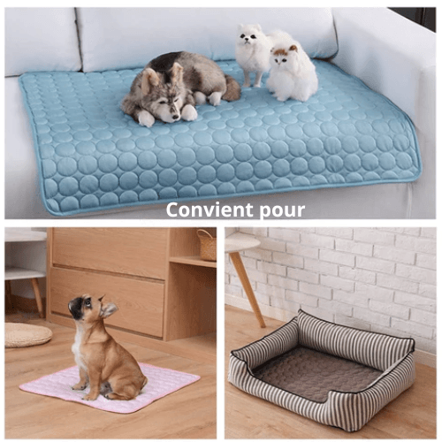 Tapis Rafraîchissant Chien | ChillPaws™ - l'école du chien
