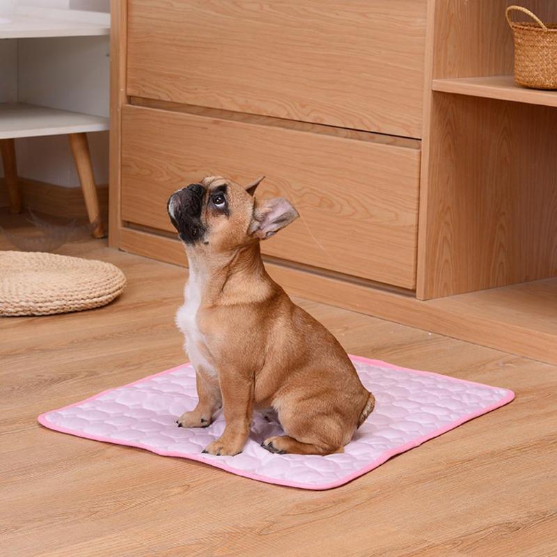 Tapis Rafraîchissant Chien | ChillPaws™ - l'école du chien