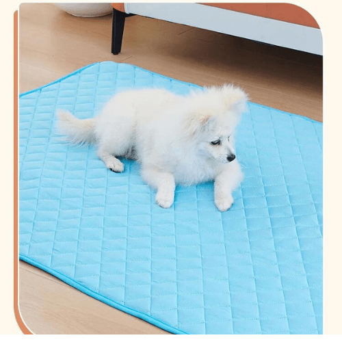 Tapis Rafraîchissant Chien | ChillPaws™ - l'école du chien
