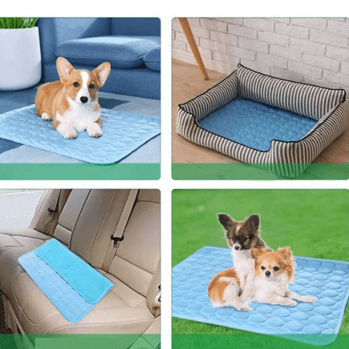 Tapis Rafraîchissant Chien | ChillPaws™ - l'école du chien