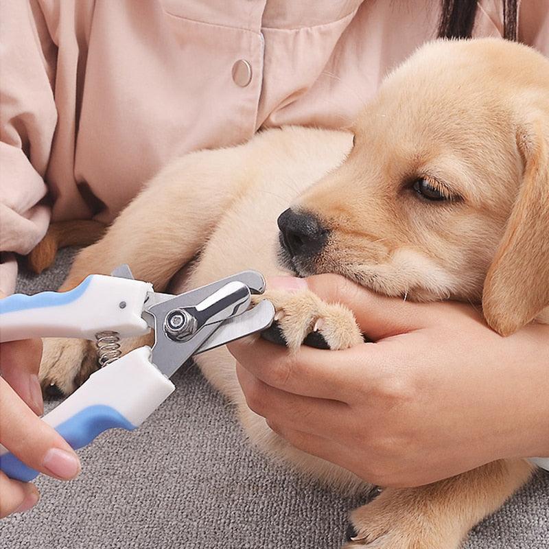 TrimTreat ™ | Coupe Griffes pour Chien - l'école du chien