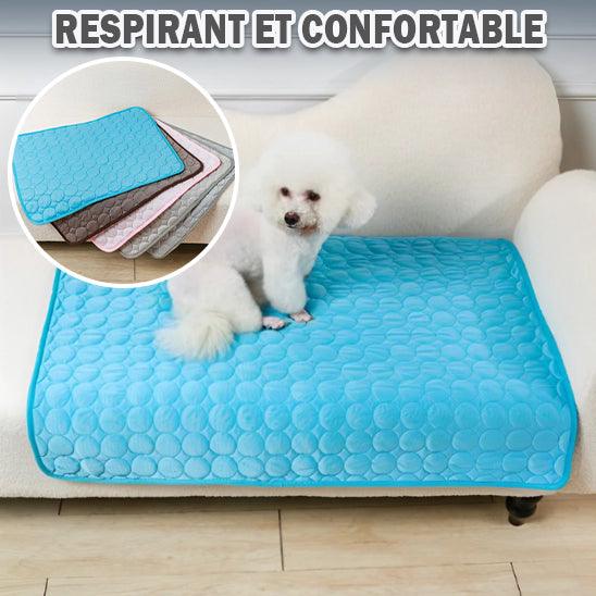Tapis rafraichissant pour chien: un espace de repos agréable et frais. Respirant et confortable - l'école du chien