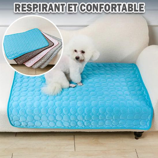 Tapis rafraichissant pour chien: un espace de repos agréable et frais. Respirant et confortable - l'école du chien