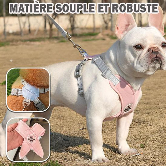 Harnais pour chien est un accessoire essentiel pour assurer le confort et de la sécurité de son animal de compagnie. Offre un meilleur contrôle lors des promenades - l'école du chien