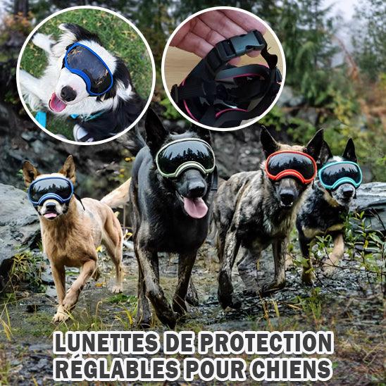 Lunettes pour chien sont des accessoires indispensables pour protéger ses yeux.Peut grandement améliorer le confort et la qualité de vie de votre fidèle ami - l'école du chien