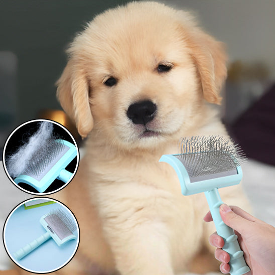 Brosse pour Chien