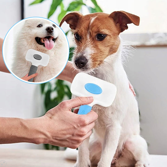 Brosse pour Chien | AutomaticBrush™