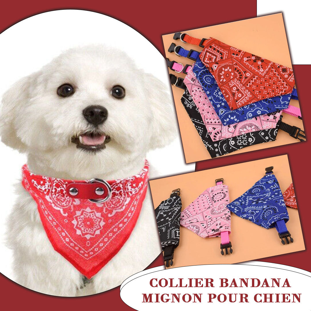 Bandana pour Chien | BandanaPaws™