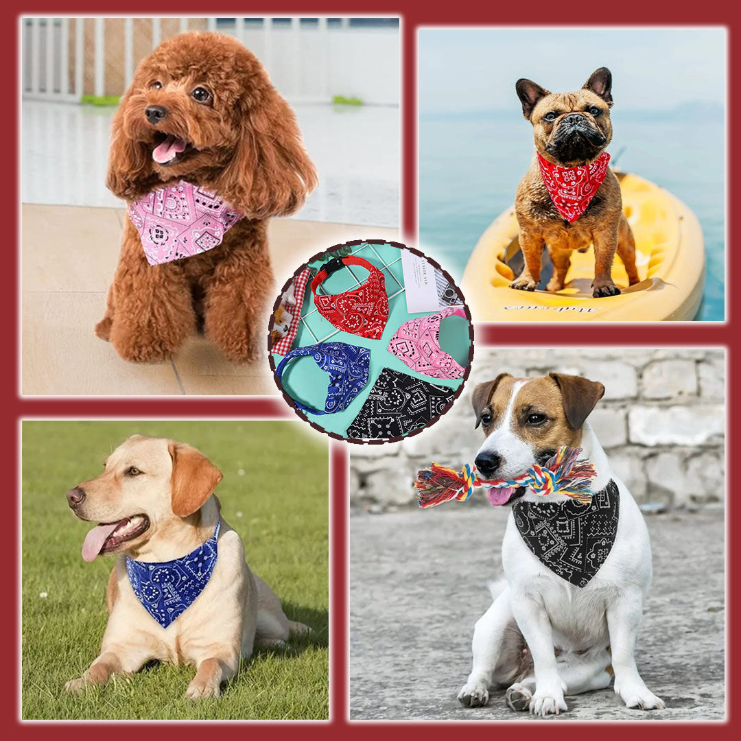 Bandana pour Chien | BandanaPaws™