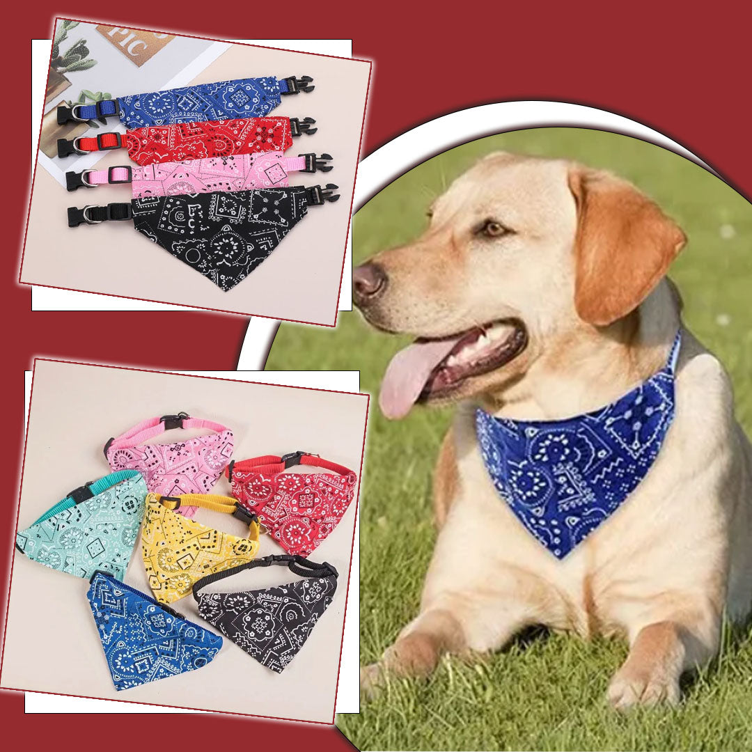 Bandana pour Chien | BandanaPaws™