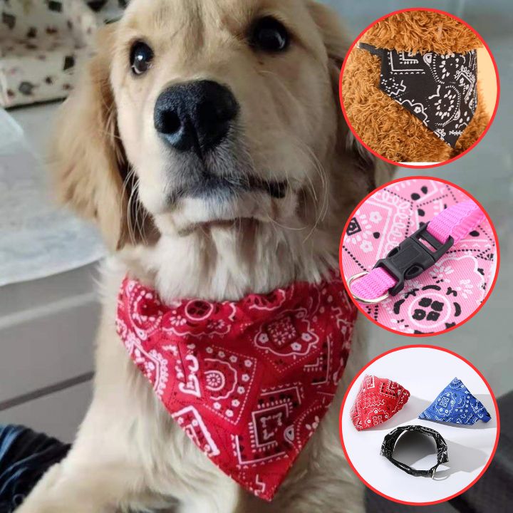 Bandana pour Chien | BandanaPaws™