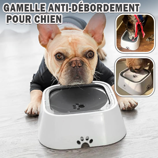 CanineBowl™ | Gamelle Chien