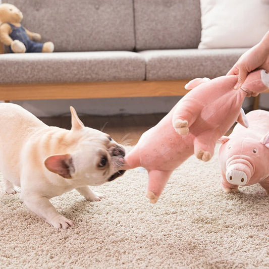 Peluche pour Chien