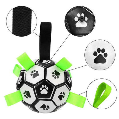 Ballon Chien - l'école du chien
