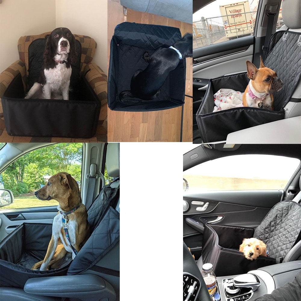 Siège Auto Chien | AutoSafe™