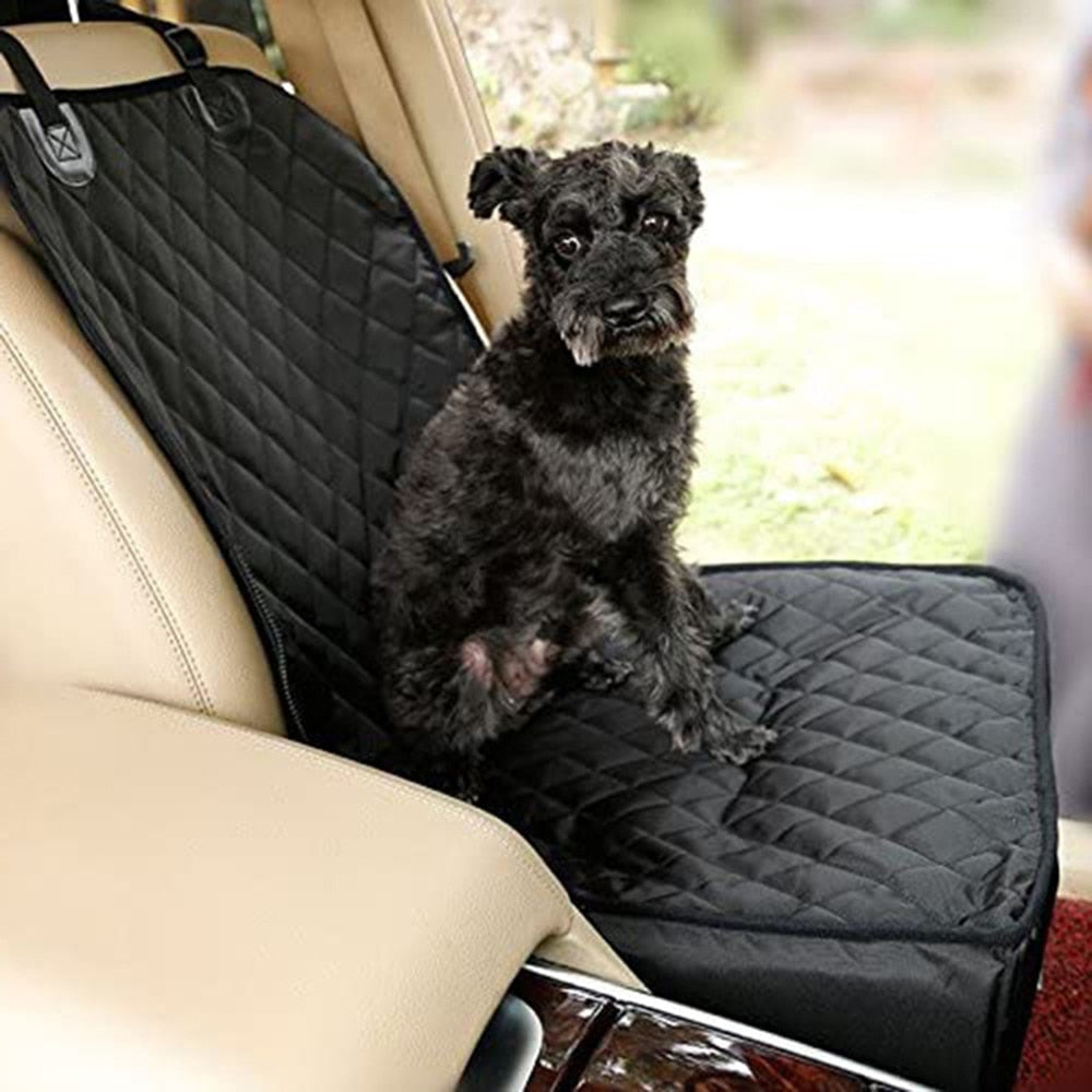 Siège Auto Chien | AutoSafe™