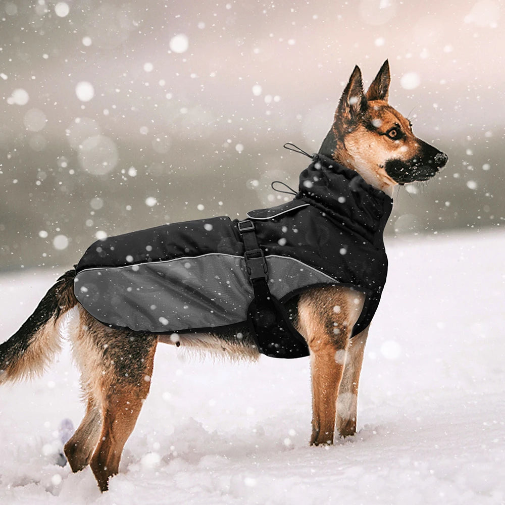 Manteau imperméable pour chien