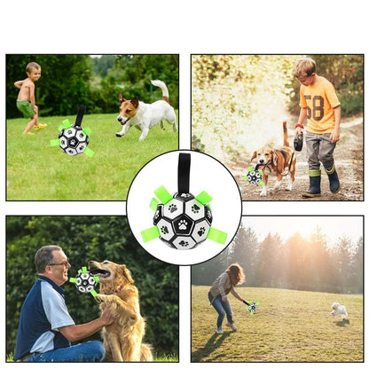 Ballon Chien - l'école du chien