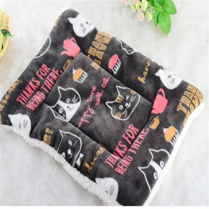 Tapis pour Chien - l'école du chien
