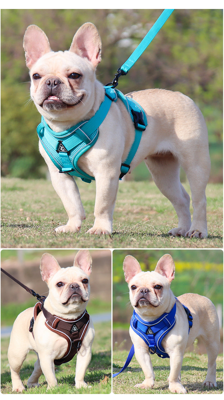 CustomCanineHarness™ |Harnais Chien