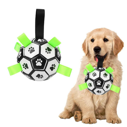 Ballon Chien - l'école du chien