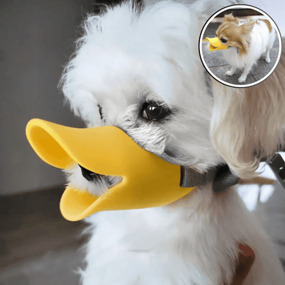 Muselière pour Chien - l'école du chien