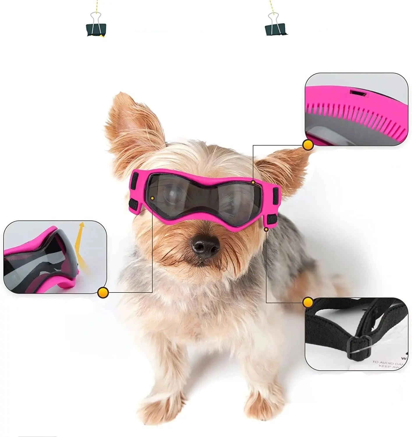 Lunettes pour Chien