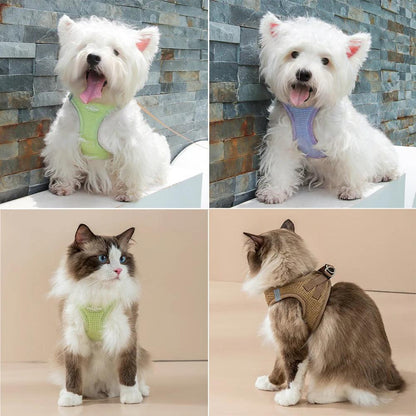 Harnais Chien - l'école du chien