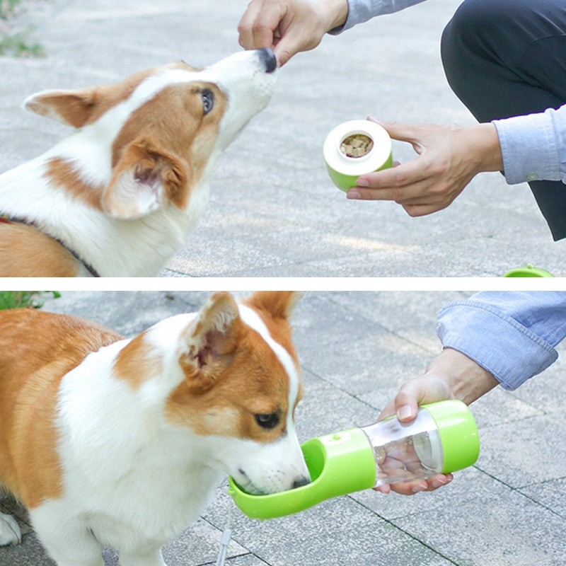 gourdechienhydratationfacile