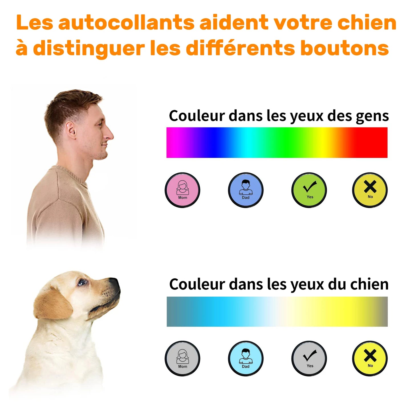 Jouet pour Chien