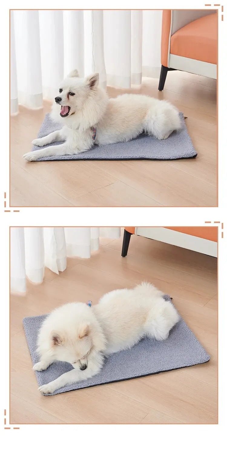 Tapis pour Chien