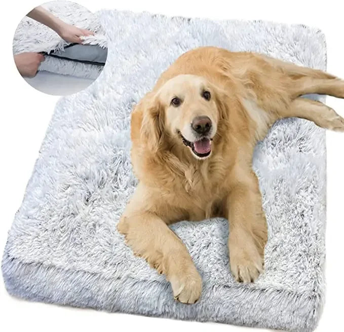 Tapis pour Chien