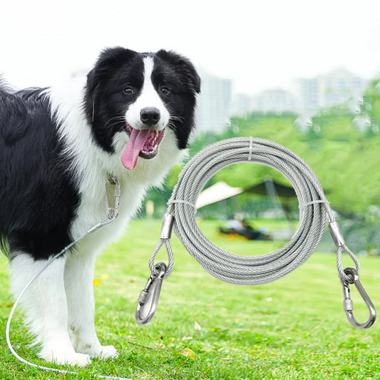 Laisse pour Chien - l'école du chien