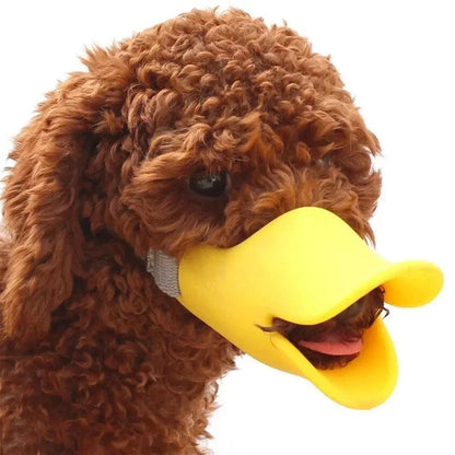 Muselière pour Chien - l'école du chien
