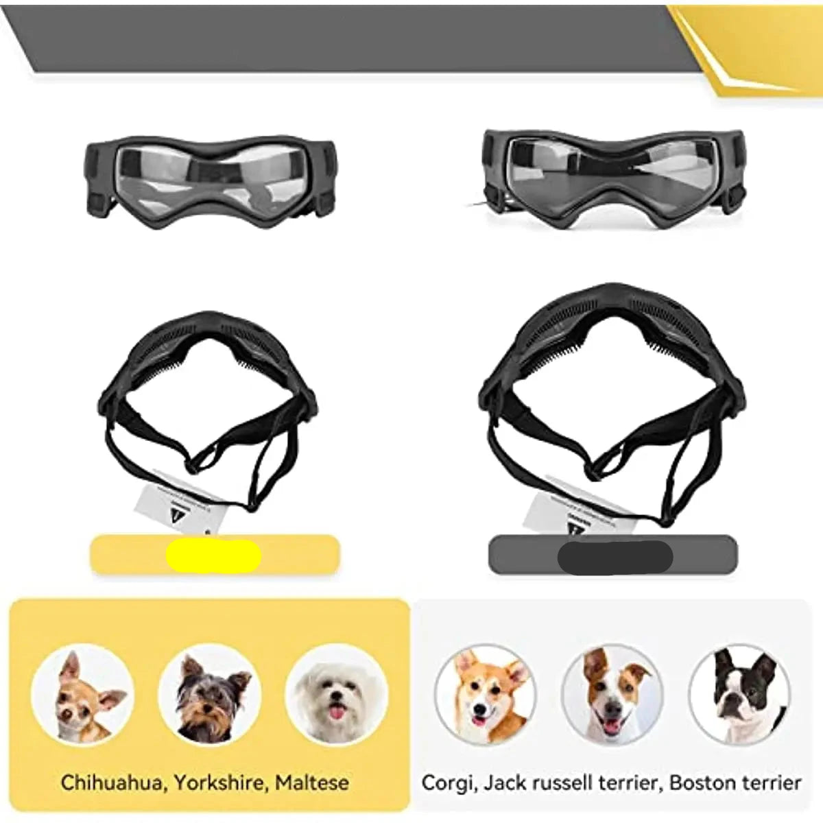 Lunettes pour Chien