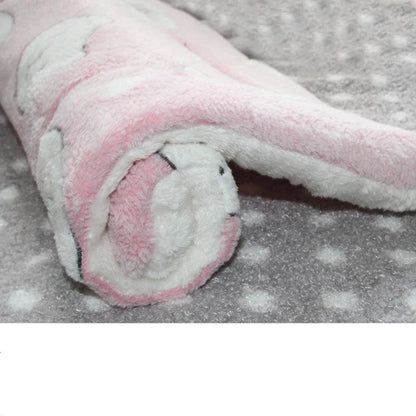 Tapis pour Chien - l'école du chien