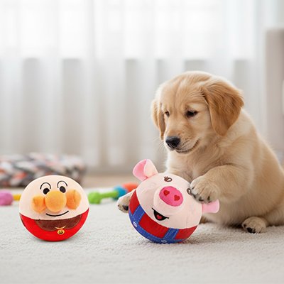 Balle pour Chien