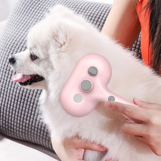 Brosse pour chien