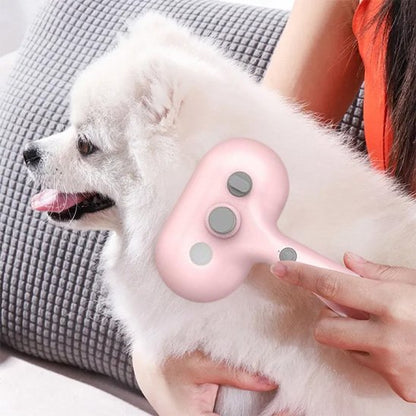 Brosse pour chien