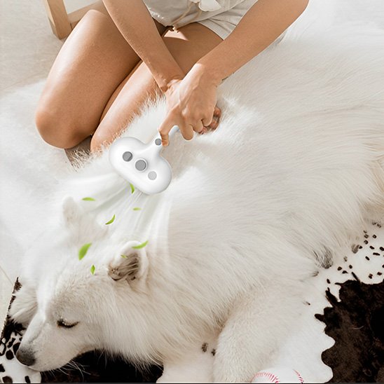 Brosse pour chien