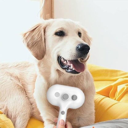 Brosse pour chien