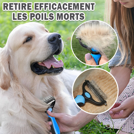 brosse pour chien à poils longs efficace