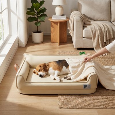  Canapé pour chien 