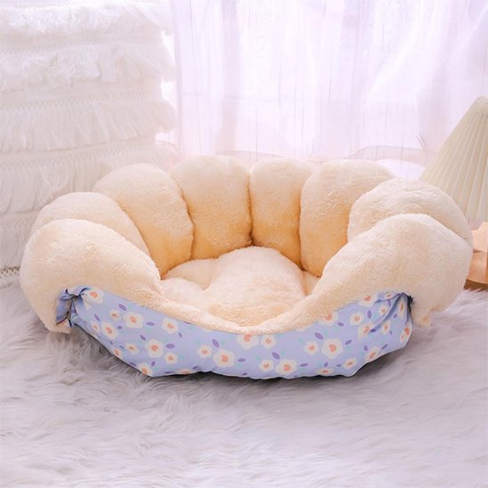 Canapé pour chien 