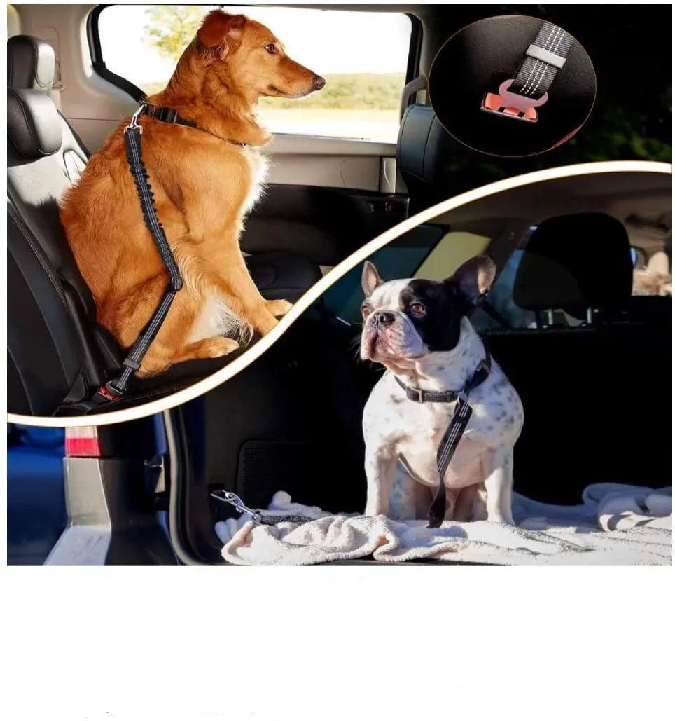 Ceinture De Sécurité Réglable Et Durable Pour Voiture - Réfléchissant - Élastique En Nylon - Harnais Pour Chien - Laisse De Voyage - Rouge