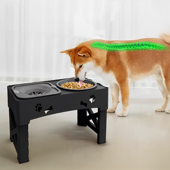 Gamelle chien