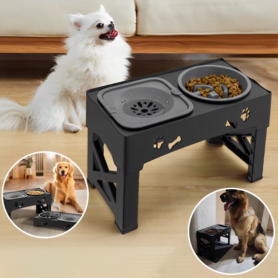 Gamelle chien